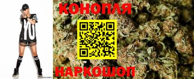 спиды Лесосибирск