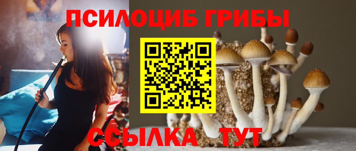 Псилоцибиновые грибы GOLDEN TEACHER  Вход с VPN  Галлюциногенные грибы мицелий  Звенигород 